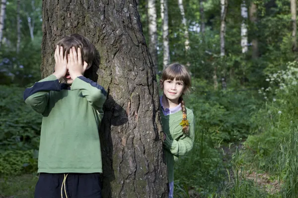 Hide and seek — Stock Photo, Image