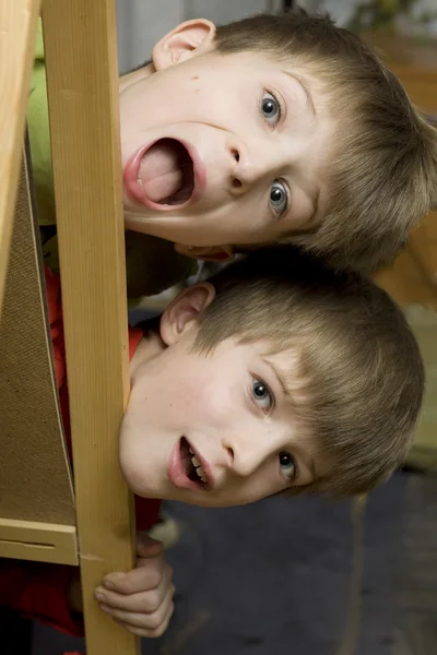 HAPPY TWINS HERMANOS Gritando — Foto de Stock