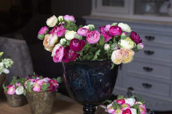 Ranunculus rosa — Foto de Stock