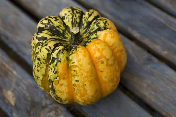 Fresh pumpkins — Stock Photo, Image