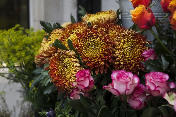 Helder en mooi gesneden verse bloemen met kleurrijke tinten — Stockfoto