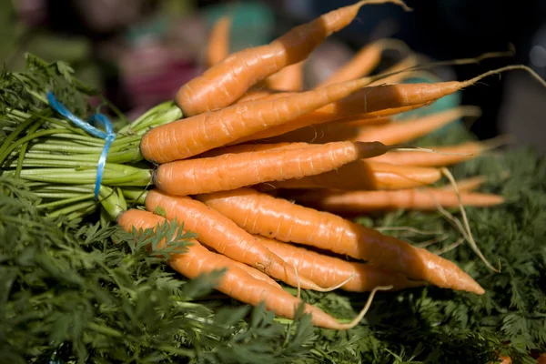 Oranje wortelen — Stockfoto