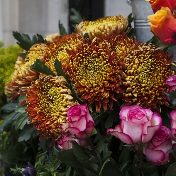 Helder en mooi gesneden verse bloemen met kleurrijke tinten — Stockfoto