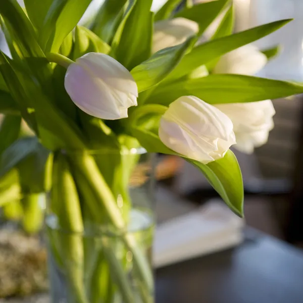 Ramo de tulipán en jarrón de vidrio — Foto de Stock
