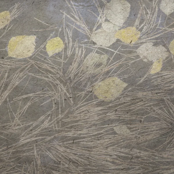 Tapeta tło z jesień liść — Zdjęcie stockowe