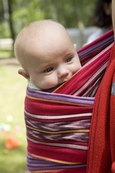 Little cute girl six month old sitting in sling. Summer time — Stock Photo, Image