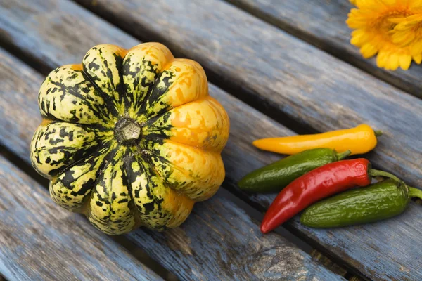 Hermosas calabazas frescas —  Fotos de Stock