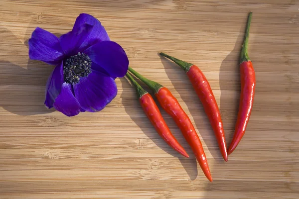 Anemone und rote Chilischoten — Stockfoto