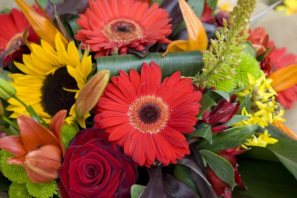 Colorful variety of flowers — Stock Photo, Image