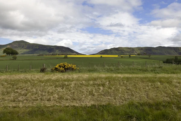 スコットランドの田舎 — ストック写真