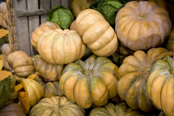 Pumpkin on market — Stock Photo, Image