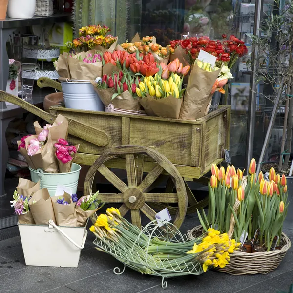 Variedade colorida de flores — Fotografia de Stock