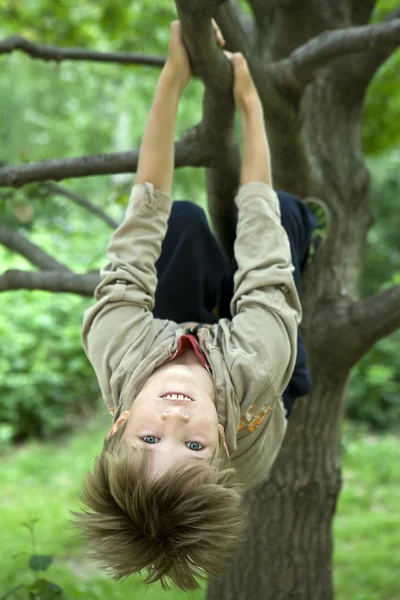 Söt pojke hängande från gren av träd — Stockfoto