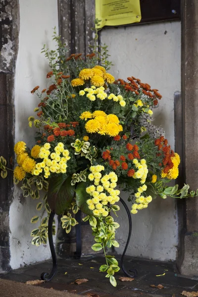 Fargerik variasjon av blomster – stockfoto