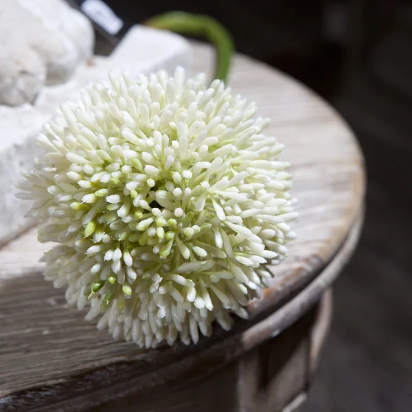 El yapımı sahte pembe Gül çiçek — Stok fotoğraf