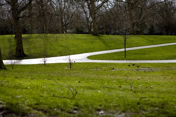 Hyde Park ścieżki — Zdjęcie stockowe