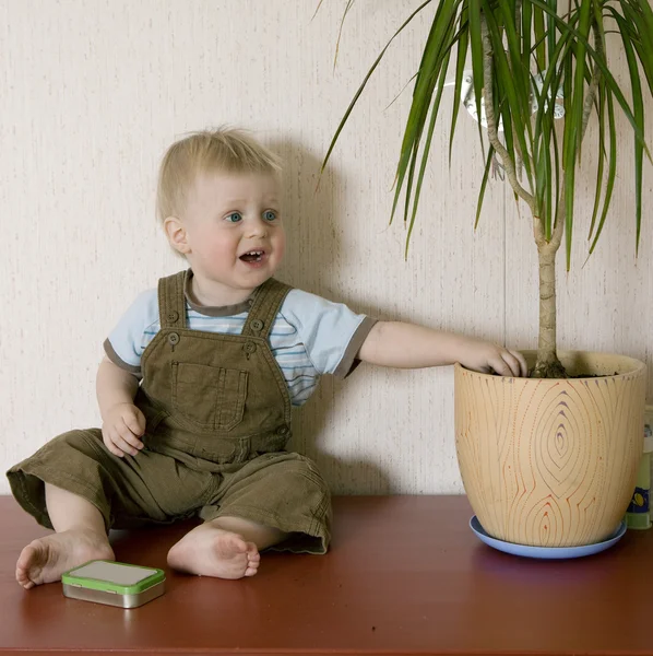 Boy with  flowerpot — Stock Photo, Image