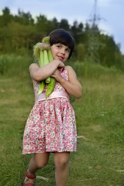 Маленькая девочка с кукурузой — стоковое фото