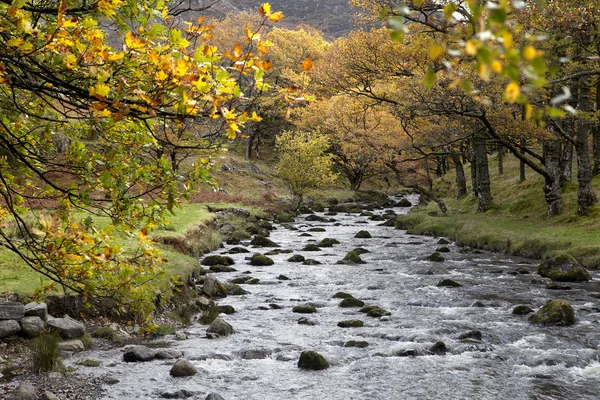 Lake district — Stockfoto