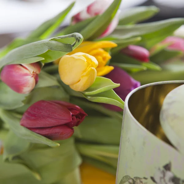 Gelb, rosa, rot, violette Tulpen — Stockfoto