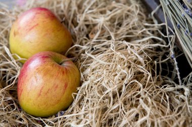 saman içinde iki elma