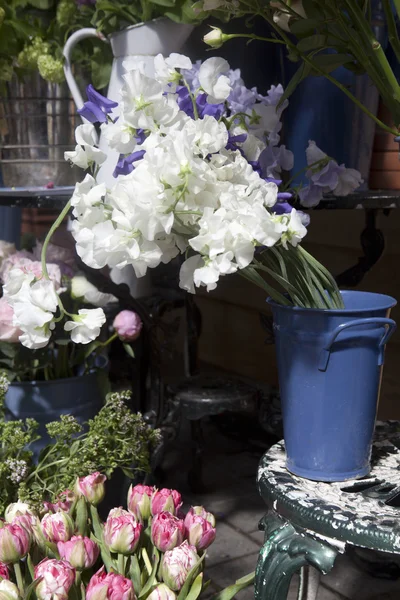 Flores cerca de tienda —  Fotos de Stock