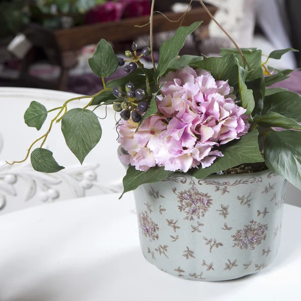 Hydrangea in vase — Stock Photo, Image