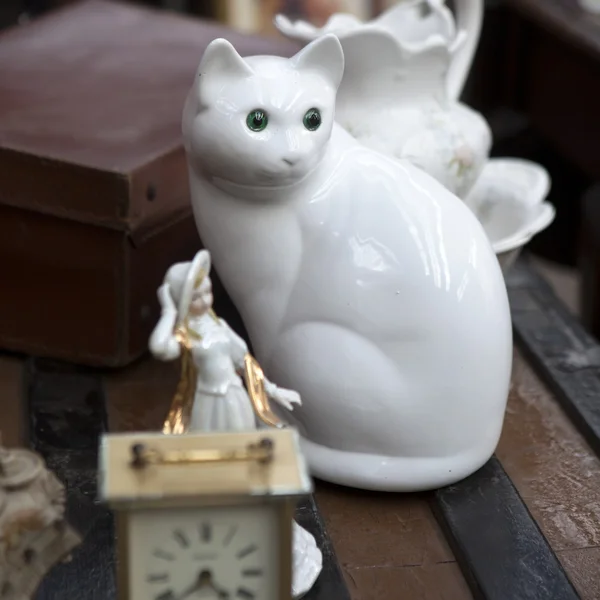 Chat blanc — Photo