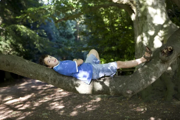 Trepar en el árbol — Foto de Stock