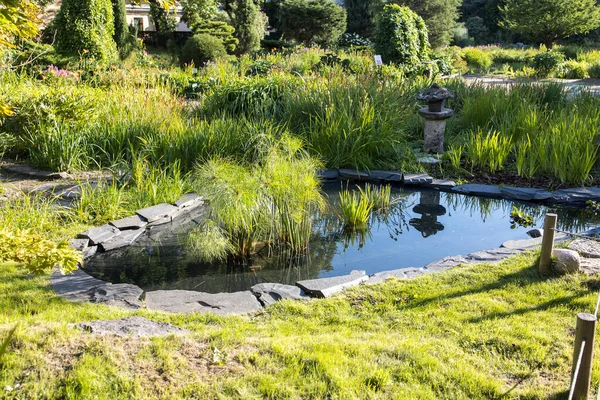 Pequeño Estanque Japonés Con Jardinería Jardín Botánico Petersburgo —  Fotos de Stock