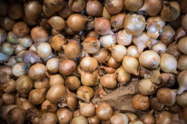 Markette satılık sepette küçük sarı soğan tohumları.