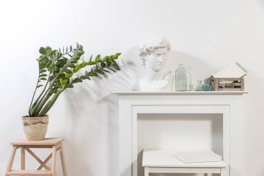 Apollo 'nun alçıdan kafası beyaz bir iç kısımda. Zamioculcas taburedeki kil çömleğe bitki eker. Cam şişeler ve masanın üzerinde not defteri olan tahta kutu..