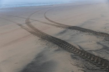 Ormanda dolambaçlı bir yol.