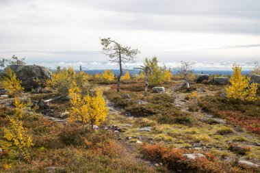 Megalitik seid kaya taşlarıyla bataklık ya da göl, doğadaki ölü ağaçlar Vottovaara Dağı, Karelia, Rusya 'da saklanır. Montain 'de sonbahar