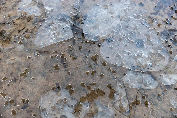 Delgado Trozo Hielo Con Agujeros Derretidos Sobre Arena Amarilla —  Fotos de Stock