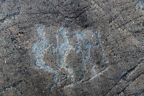 Petroglifi Del Mar Bianco Antichi Dipinti Rupestri Zalavruga Mila Anni — Foto Stock