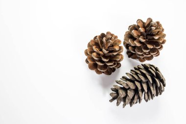 Beyaz arka planda üç kuru çam kozalağı izole edilir. Uzayı kopyala Metin için yer