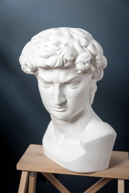 David 'in kafasının alçı kalıbı lacivert bir odada bir taburede duruyor.