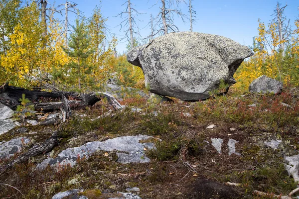 巨石質の泥岩の石 山Vottovaara カレリア ロシアの自然保護区で死んだ木 山の秋 — ストック写真