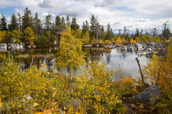 Pântano Lago Com Pedras Seixo Megalíticas Árvores Mortas Reserva Natural — Fotografia de Stock