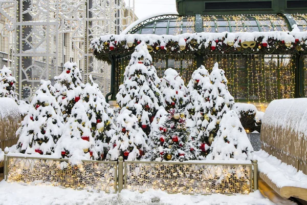 Рождественские Заснеженные Деревья Украшают Улицы Города — стоковое фото