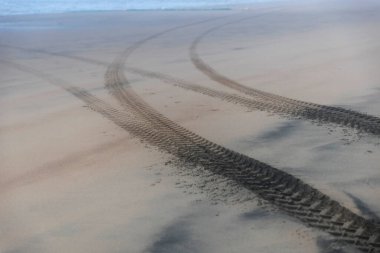 Beyaz deniz kenarında boş, dolambaçlı bir yol