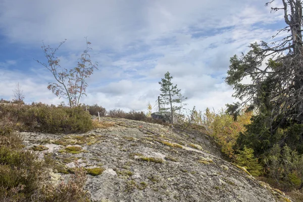 Megalithische Seid Stenen Dode Bomen Het Natuurgebied Berg Vottovaara Karelië — Stockfoto
