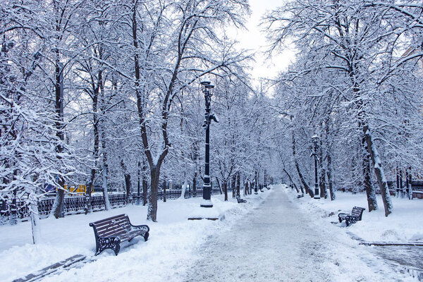Rozhdestvensky boulevard, garden ring are in snowfall