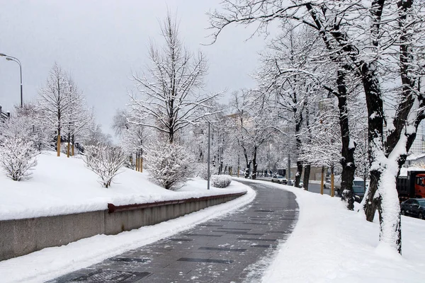 Rozhdestvensky大道花园环在雪地里 — 图库照片