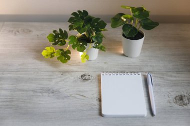 Two plastic pots with artificial monstera and creepers. Notepad with blank sheets for text and a pen
