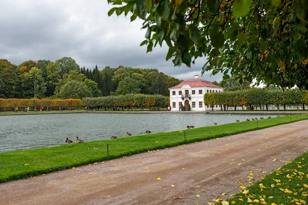 Petersburg Petrodvorets Rusland Oktober 2021 Grote Romeinse Fonteinen Het Lager — Stockfoto