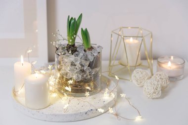 Yapay buzlu cam vazoda açılmamış iki sümbül. Modern İskandinav tarzında iç görünüş. Duvarda tuval ya da poster resmi var. Oturma odası, vazolu çekmeceler..