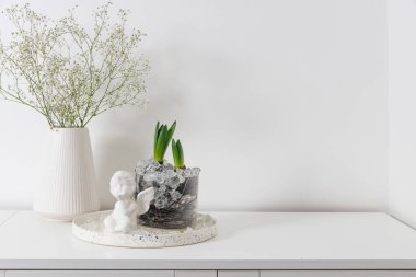 Seramik bir vazoda çingene, beyaz bir çekmecede cam vazoda sümbüller. Modern İskandinav tarzı iç mekan manzarası. Oturma odası, vazolarla dolu tuvalet. Minimalizm kavramı