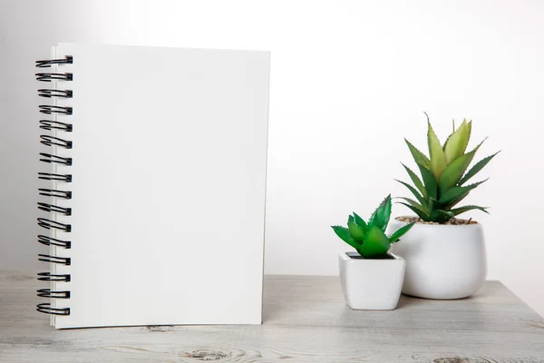 Escritorio Oficina Mesa Madera Del Lugar Trabajo Plantas Artificiales Con — Foto de Stock